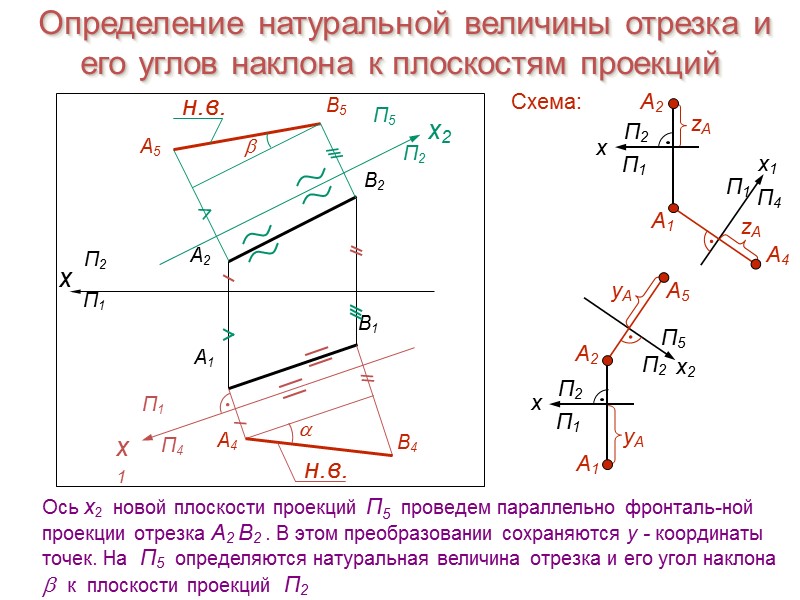 Определение натуральной величины отрезка и его углов наклона к плоскостям проекций x А1 B1